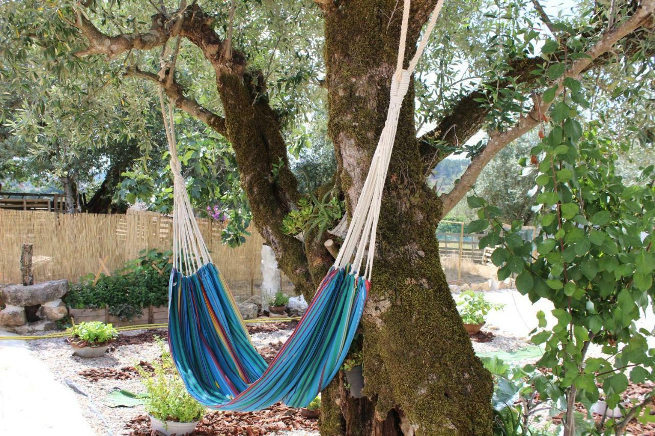 Turismo Rural Casa Da Ceu Amiais de Cima Kültér fotó