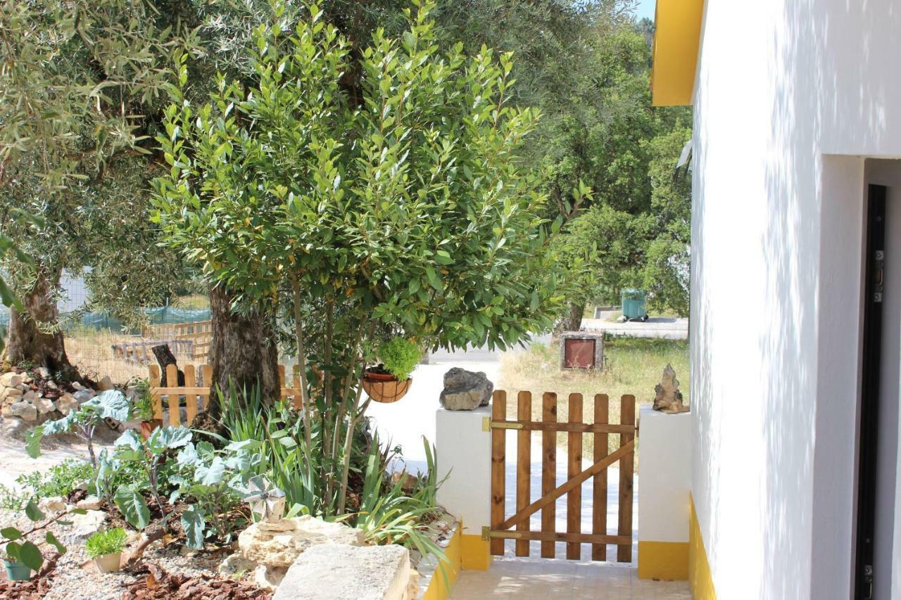 Turismo Rural Casa Da Ceu Amiais de Cima Kültér fotó